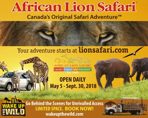 lion country safari coupon 2022