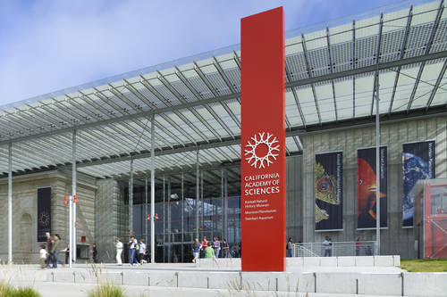 The California Academy Of Sciences - San Francisco Ca Aaacom