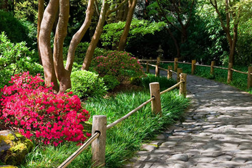 Japanese Tea Garden San Francisco Ca Aaa Com