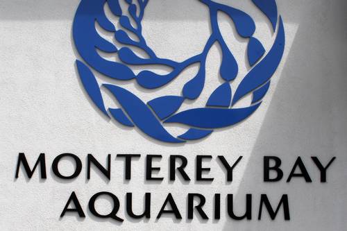 Monterey Bay Aquarium Monterey Ca a Com