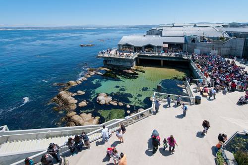 Monterey Bay Aquarium Monterey Ca Aaa Com