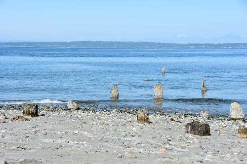 Golden Gardens Park Seattle Wa Aaa Com