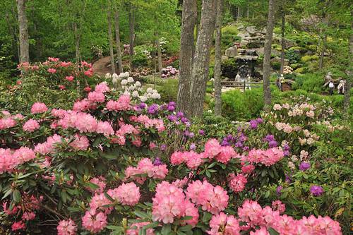 Coastal Maine Botanical Gardens Boothbay Me Aaa Com