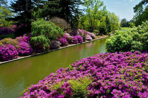 Norfolk Botanical Garden Norfolk Va Aaa Com