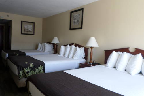 Gold Leaf Hotel Of Dewey Rehoboth Beach Dewey Beach De Aaa Com