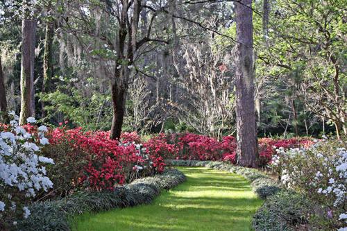 Alfred B Maclay Gardens State Park Tallahassee Fl Aaa Com