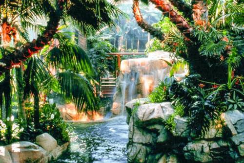 Siegfried Roy S Secret Garden And Dolphin Habitat Las Vegas Nv