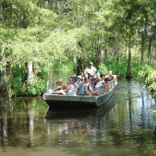 Cajun Encounters Tours - Slidell LA | AAA.com