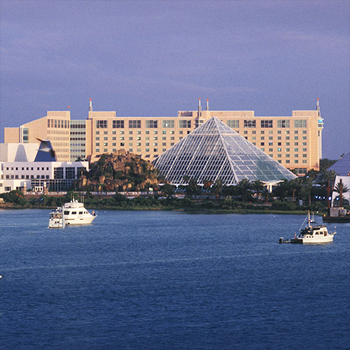 Moody Gardens Hotel, Spa and Convention Center