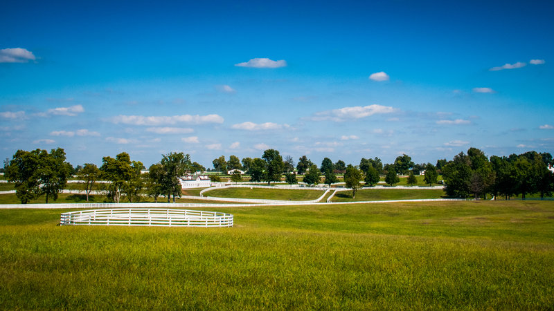 Martha Layne Collins Bluegrass Scenic Parkway Road Trip