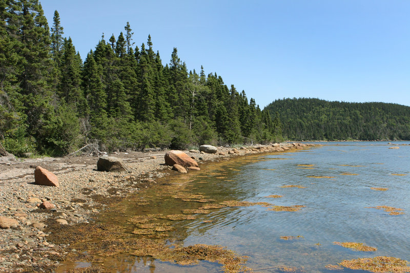Newfoundland and Labrador�s Scenic Trans Canada Hwy 1 Road