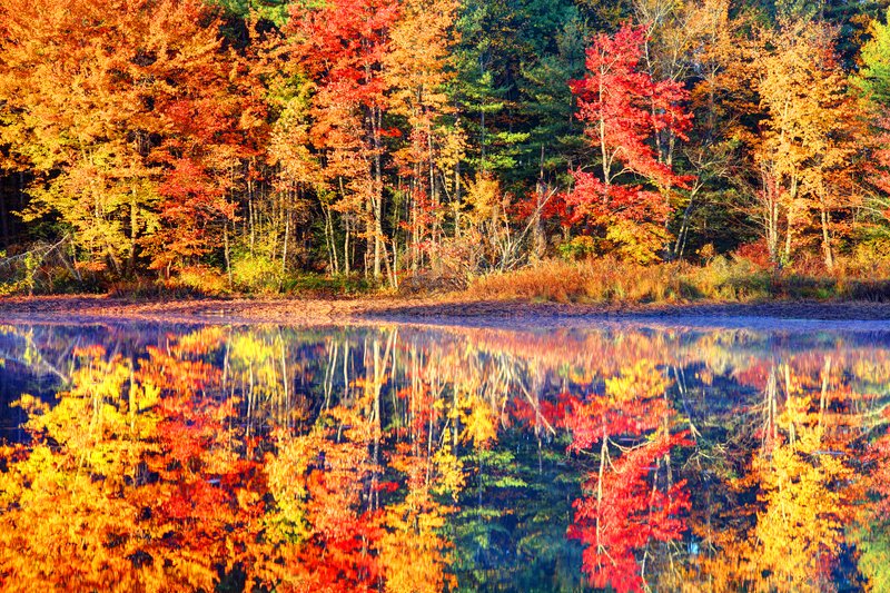 Contoocook River Scenic Highway Road Trip