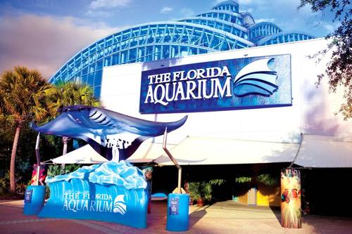 The Florida Aquarium - Tampa FL | AAA.com