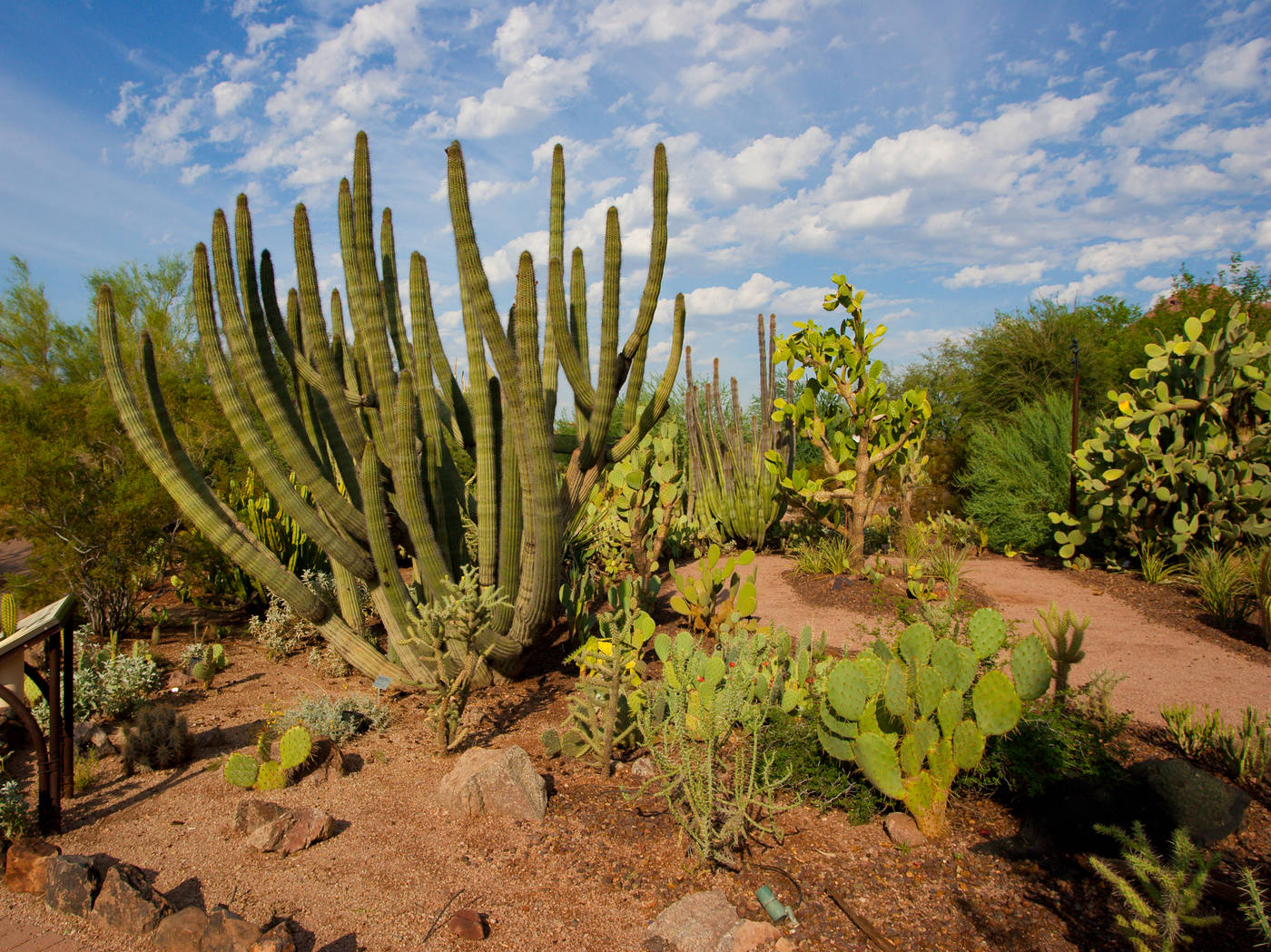 Aaa Travel Guides Phoenix Az