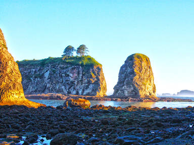 Olympic National Park