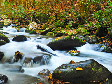 Great Smoky Mountains National Park