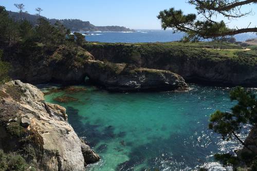 Point Lobos State Natural Reserve - Carmel-By-The-Sea CA 