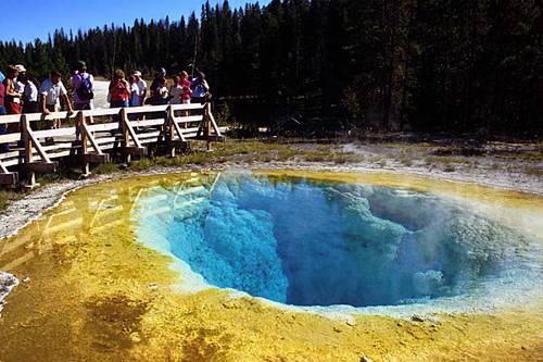 aaa tours yellowstone national park
