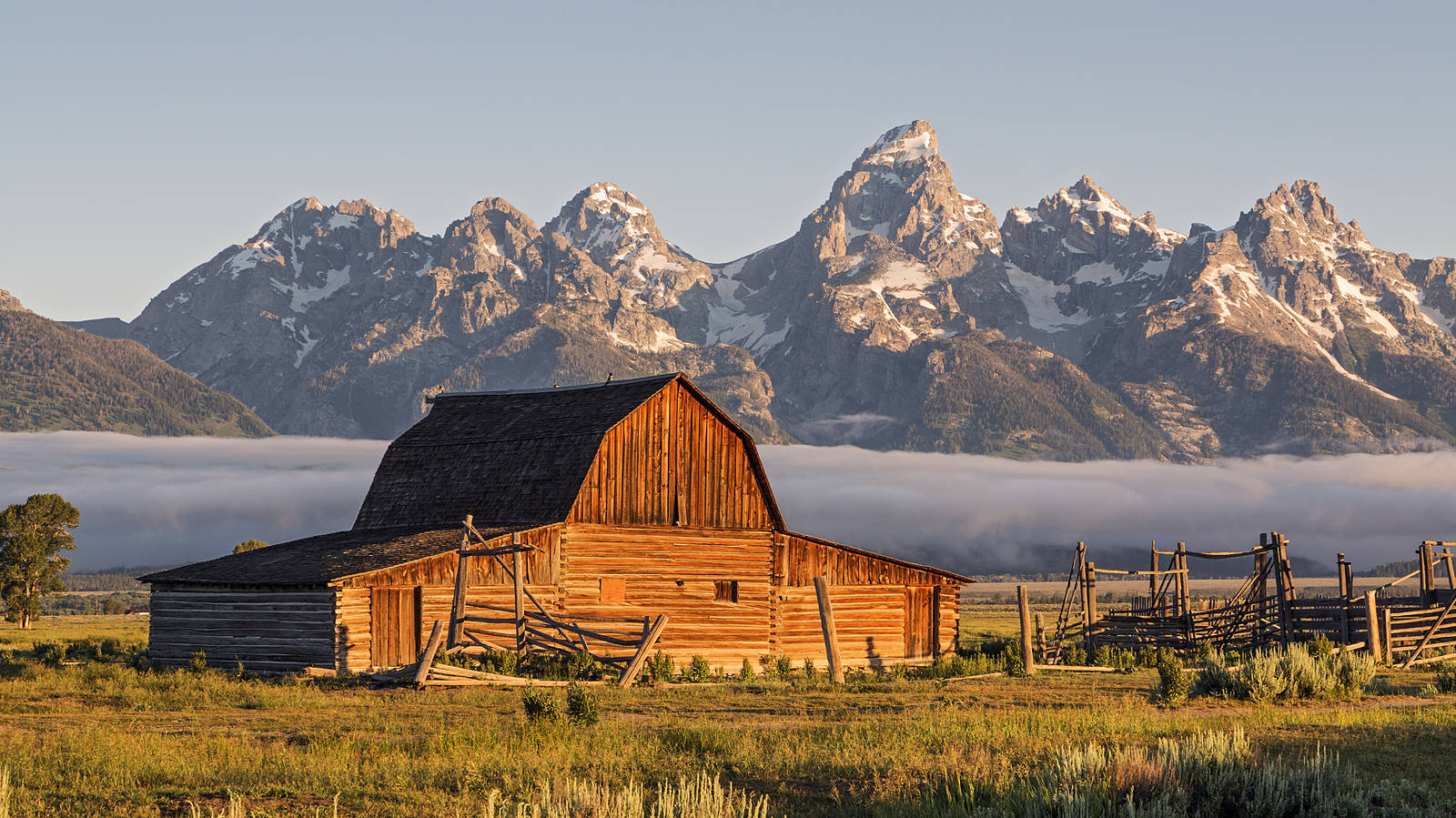 Wild West, Cowboys and Buffalos Tour