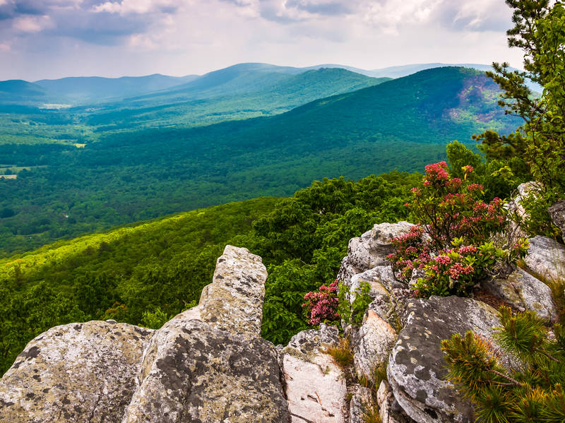 Washington National Forest Scenic Highway Road Trip