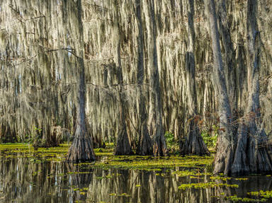 Scenic Sumter Heritage Byway