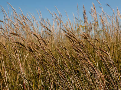 Flint Hills National Scenic Byway