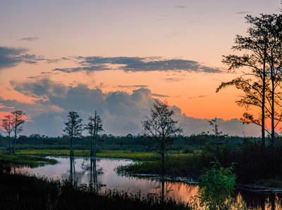 Southern Swamps Scenic Byway