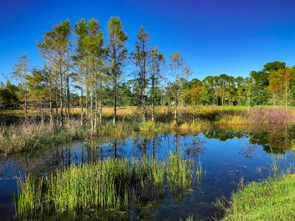 Creole Scenic Nature Trail