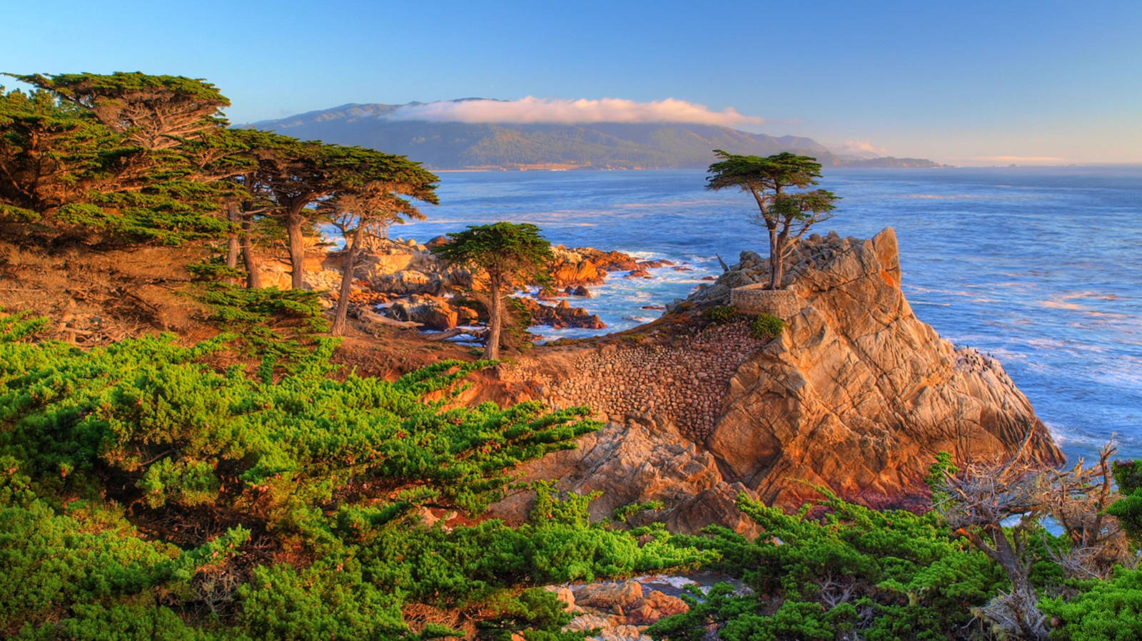 17 Mile Scenic Drive Route Trip Canvas