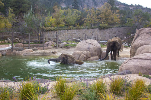 Cheyenne Mountain Zoo of Colorado Springs