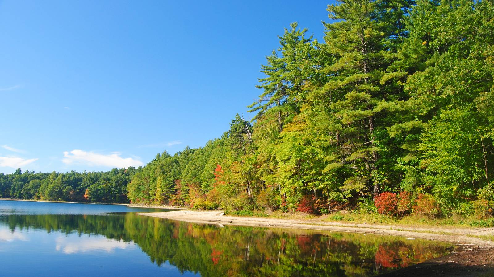 Best Picnic Spots in the U.S. Trip Canvas