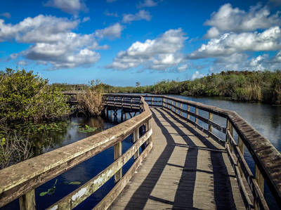 Everglades National Park Scenic Road