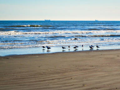 Seawall Scenic Boulevard