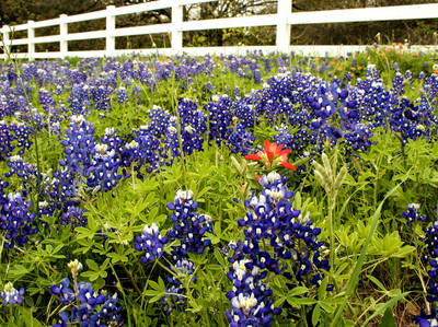 Texas Hill Country Trail Scenic Drive