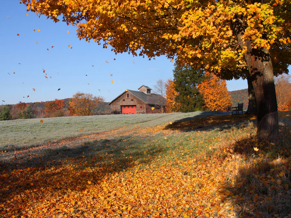 Merritt Scenic Parkway