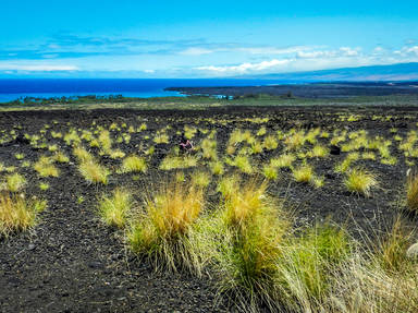 Mamalahoa Scenic Highway