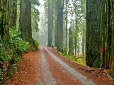 Smith River Scenic Byway