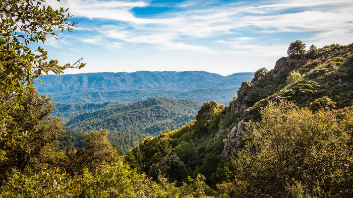 Santa Cruz Mountains Scenic Drive Route Trip Canvas