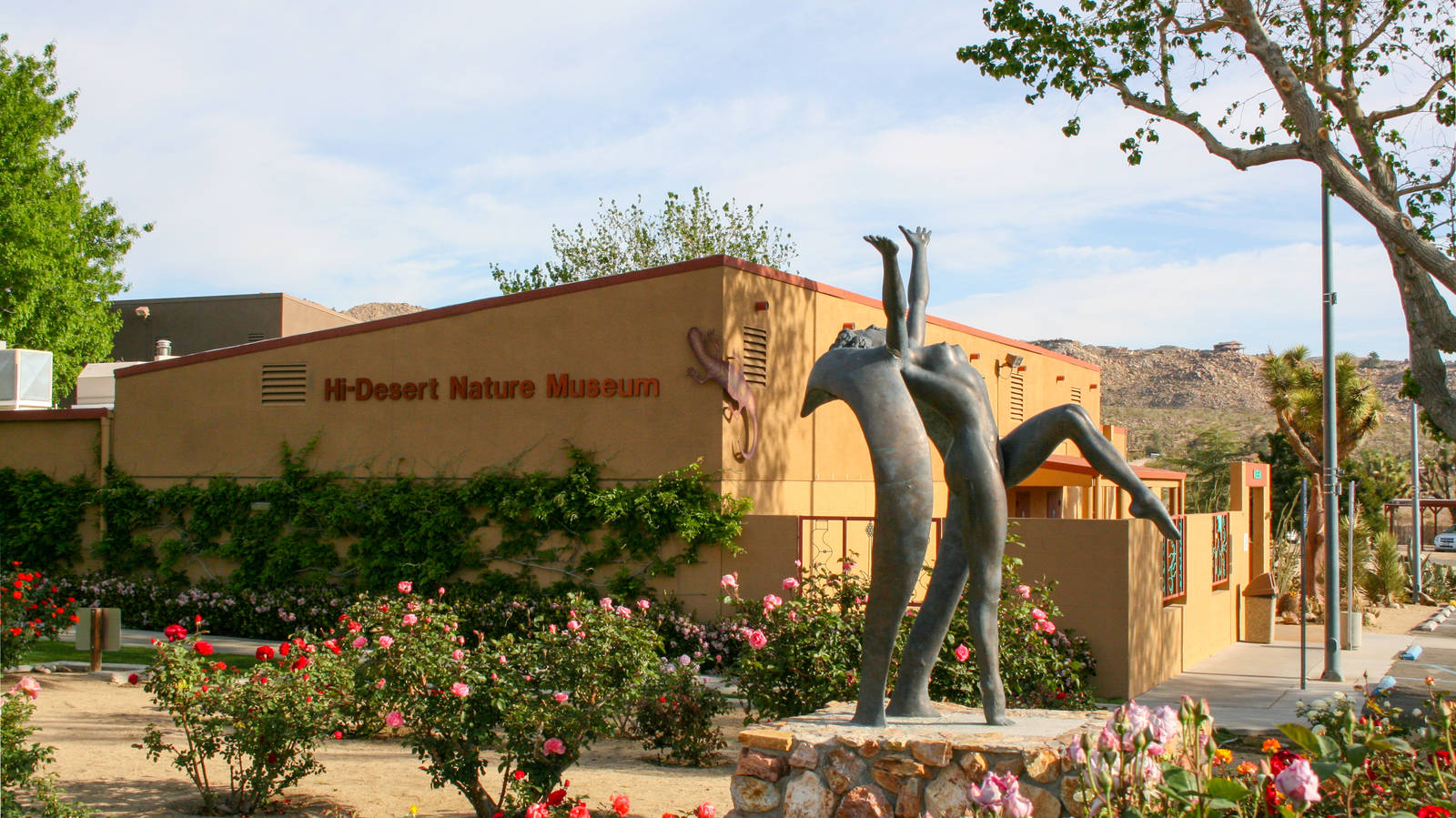 Hi-Desert Nature Museum