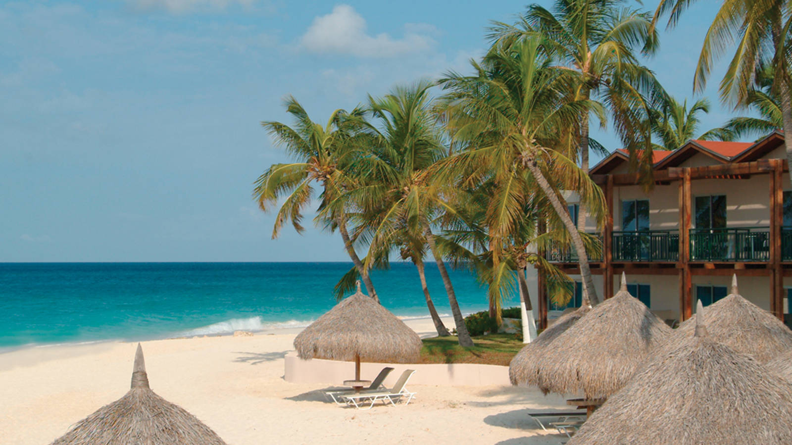 DIVI ARUBA ALL INCLUSIVE - Updated 2024 Prices & Resort (All-Inclusive)  Reviews (Caribbean)