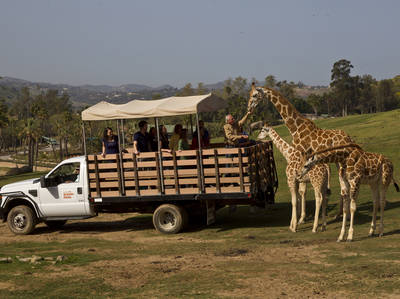 San Diego Zoo Safari Park/Ken Bohn