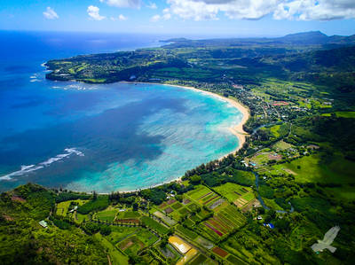 The Best of Kauai Sightseeing Tour - Virgin Experience Gifts