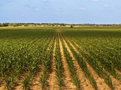 Minnesota Grains Scenic Highway