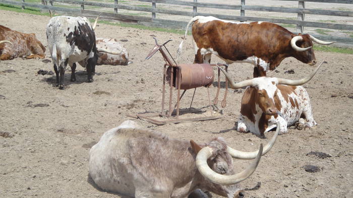 fort-worth-stockyards-national-historic-district-in-fort-worth-tx