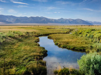 Reese River Valley Scenic Drive