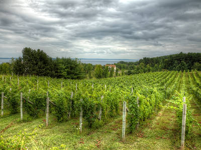 Loop Road Scenic Drive