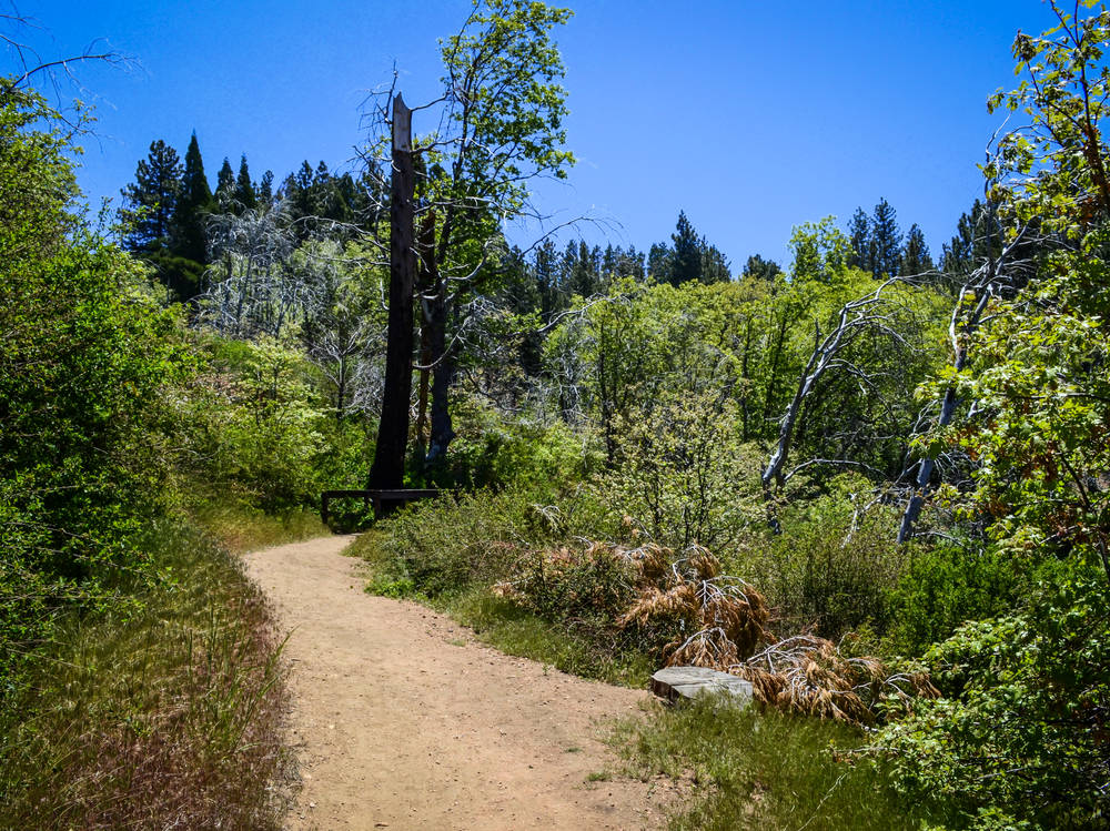 Palms to Pines Scenic Byway
