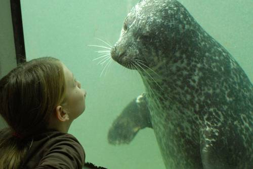 Fundy Discovery Aquarium St Andrews Nb Aaa Com