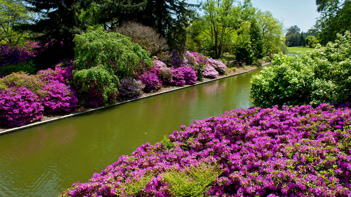 Norfolk Botanical Garden