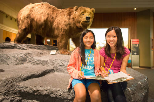 Carnegie Museum of Natural History